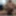 Whore Stefan Nolte - proud to publish on xHamster