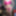Close up pussy and nipple pics #10