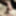 GIF: sucking my own dick (self suck, selfsuck, autofelltio)