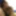 TTT Tiny Thai Teen Handles My Cock #BigCock #PetiteAsian
