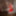 Miss Santa 2022