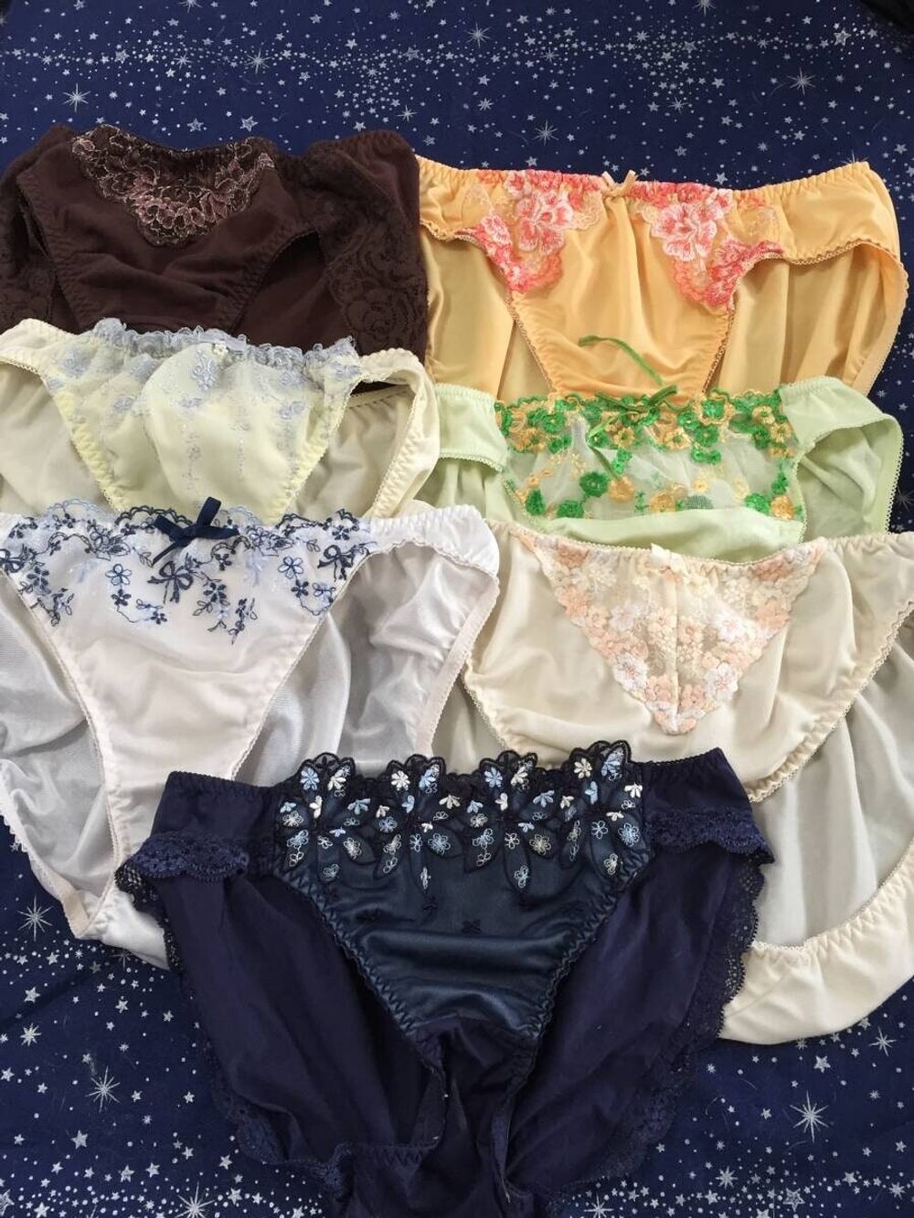 Panty Raid #8