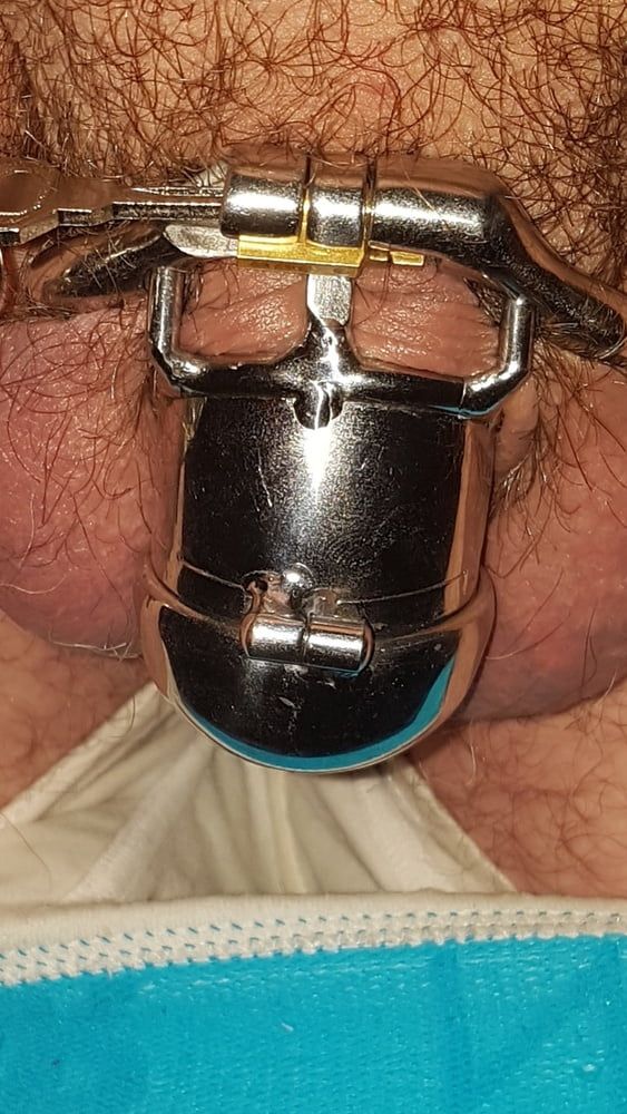 Chastity cage #27