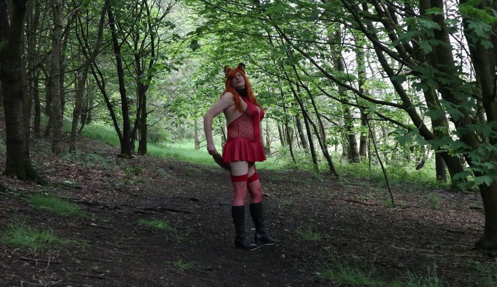 Would you like to hunt and catch this naughty little fox? #7