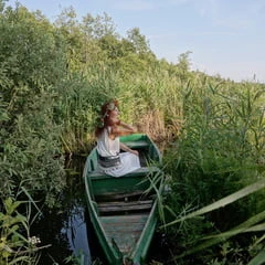 Near Lake