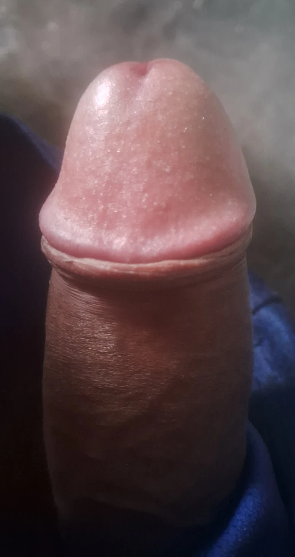 Fat dick