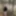Ücretsiz KiraKoval Fotoğrafları