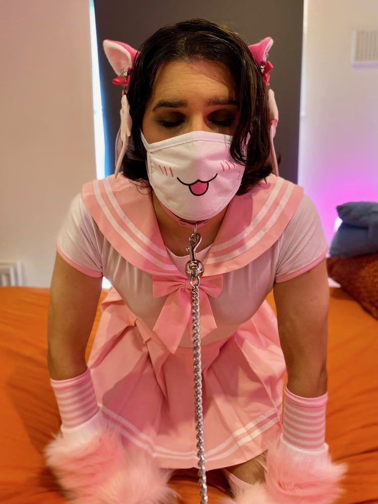 Pink Seifuku Catgirl #6