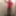 Nicki-Crossdress sexy red Mini-Dress, Tights &amp; Boots