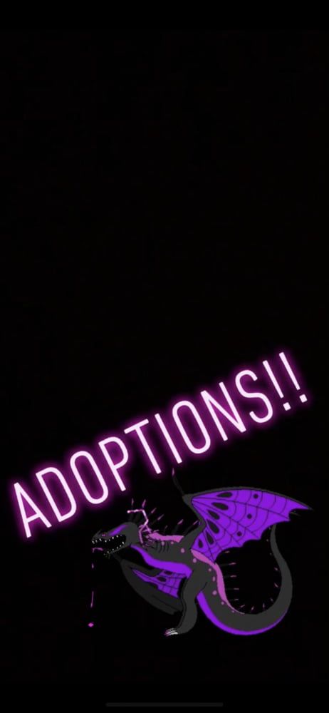 Up for Adoption! 