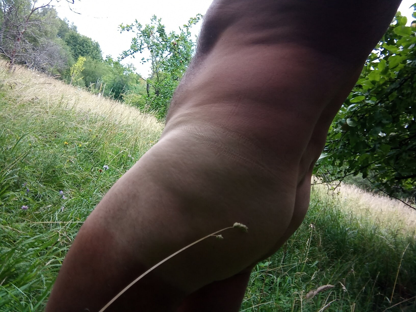 Le 16 Juillet 2020 partie 1 .