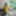Dress Yellow Teen ladyboy