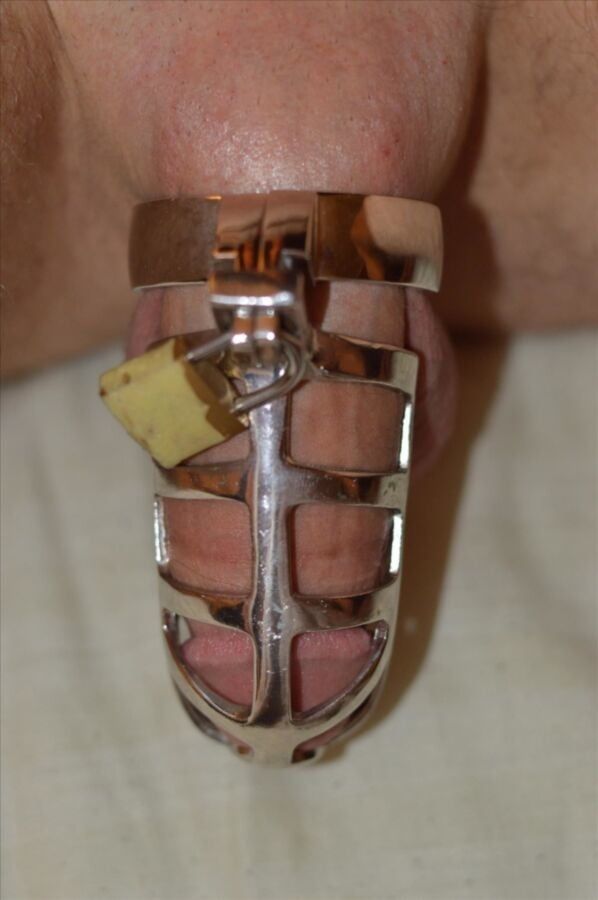 Cock in chastity #8