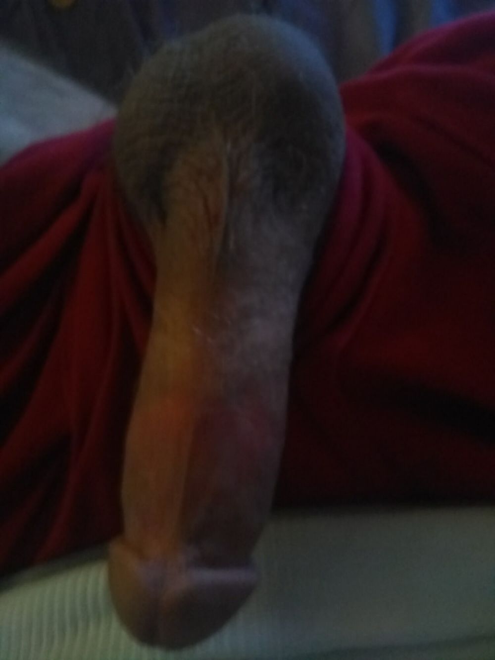 Some dick #6