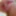 My dildo fucks my ass with panties #2
