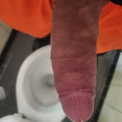 .bilder