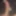 MyBigCock