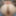 pov sex 