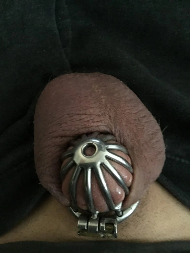 Tiny Caged Cock with Purple balls 