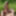 Gray-haired beauty posing naked outdoors on a blanket #58