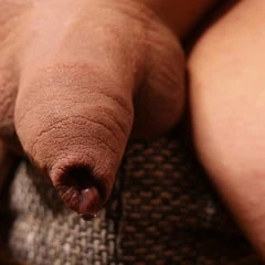 Foreskin 