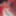 LADY?IN RED PT2 #35