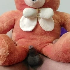 My Teddy bear penis