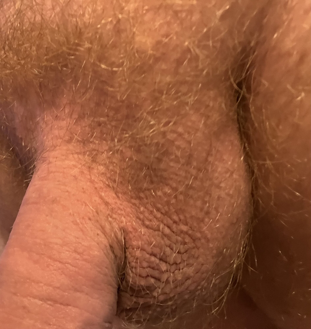 Veiny shaft and wrinkled up, swollen nuts #56