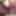 Annadevot - nylons and a dildo #6