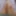 _tasechka_ Free Photos