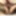 Lindaasian-ts for Master DOM_isil (part 2). #25