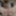 my naked gallery