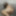 Lascivious Sex Crazed Sissy Femboy Teases and Shows off #2