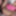 Go watch me get fucked on becomingfemme.com #3
