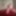 2019 random  #25