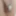 July 29, 2024  Daily duty of the naked slave #2