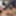 GERMAN SCOUT - JOLEE LOVE REAL ROUGH 2022 COMEBACK AMATEUR S #15