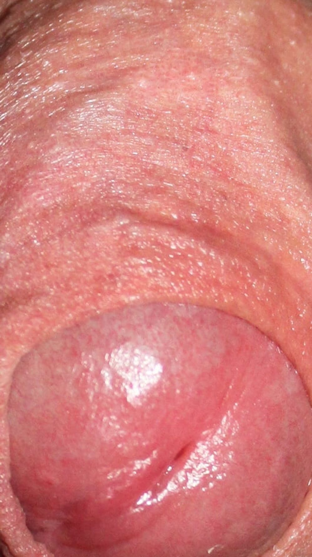 Close up dick #25