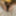 Sexy BBW Spank Me Hotel Pics #37