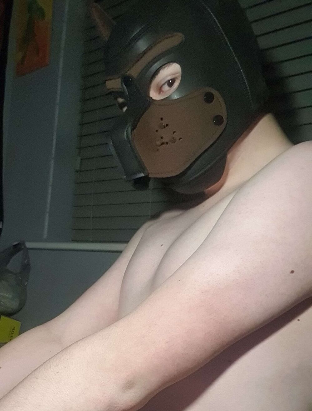 Fursuit n twink pics 2 #15