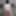 Amateur Fat Chub Chubby Hairless Chest Big Belly