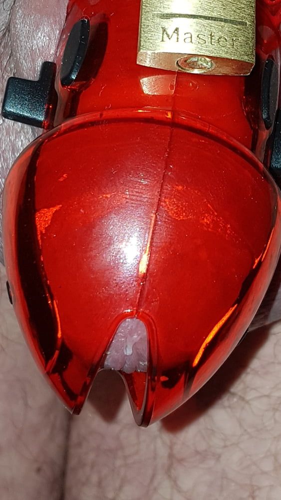 Chastity cage #4