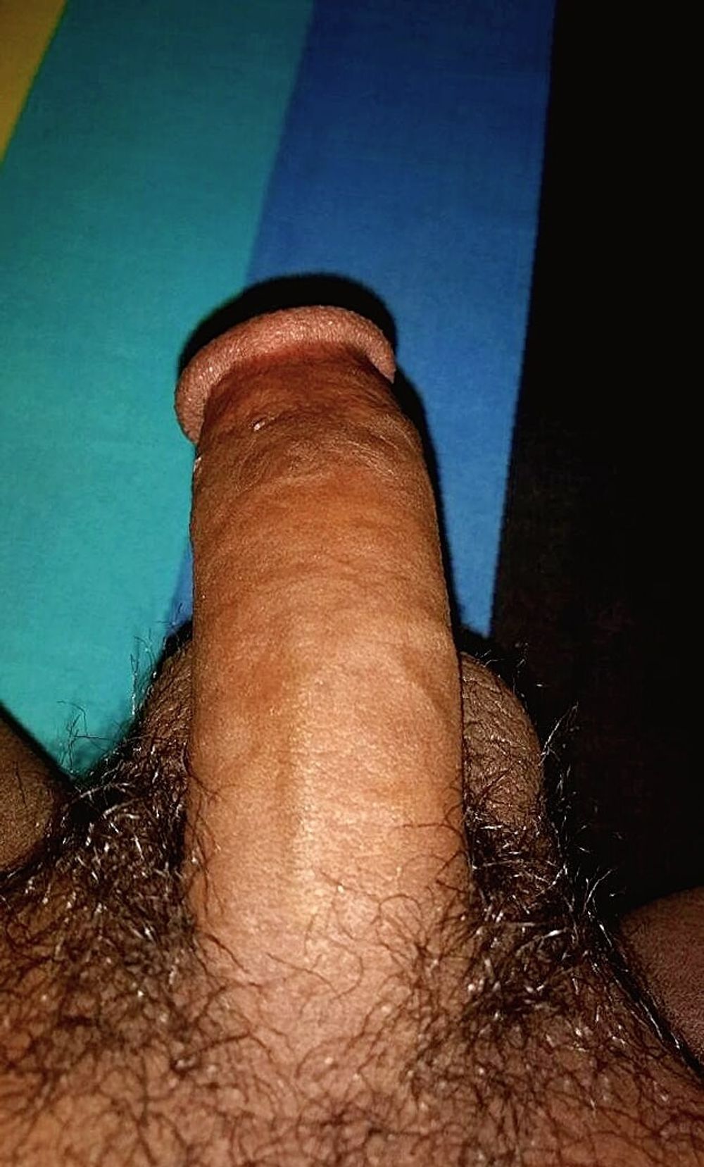 My Desi Hairy Dick selfies 