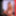 Vote for Nina Rivera and Don Whoe AVN Awards #8