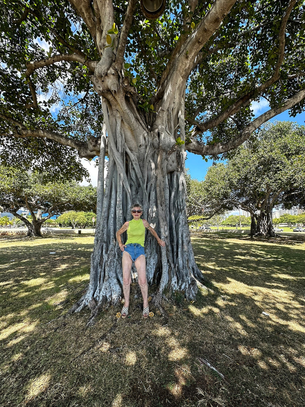 Photos from Hawaii  #19