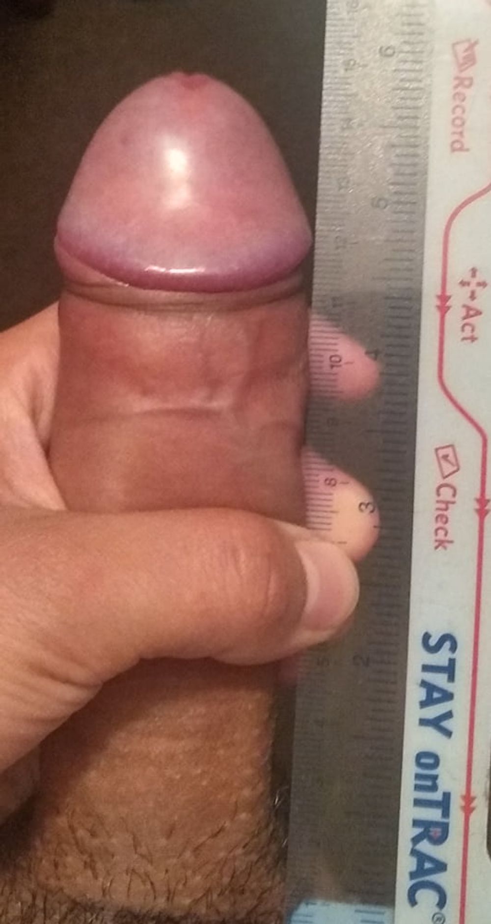 cock size 