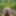 Fag Christoph Straubinger naked in the forest #8