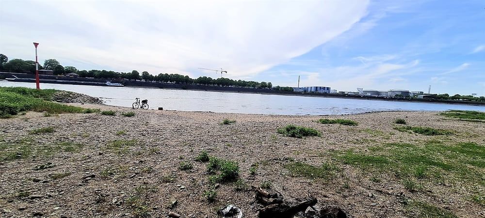 Relaxen am Rhein