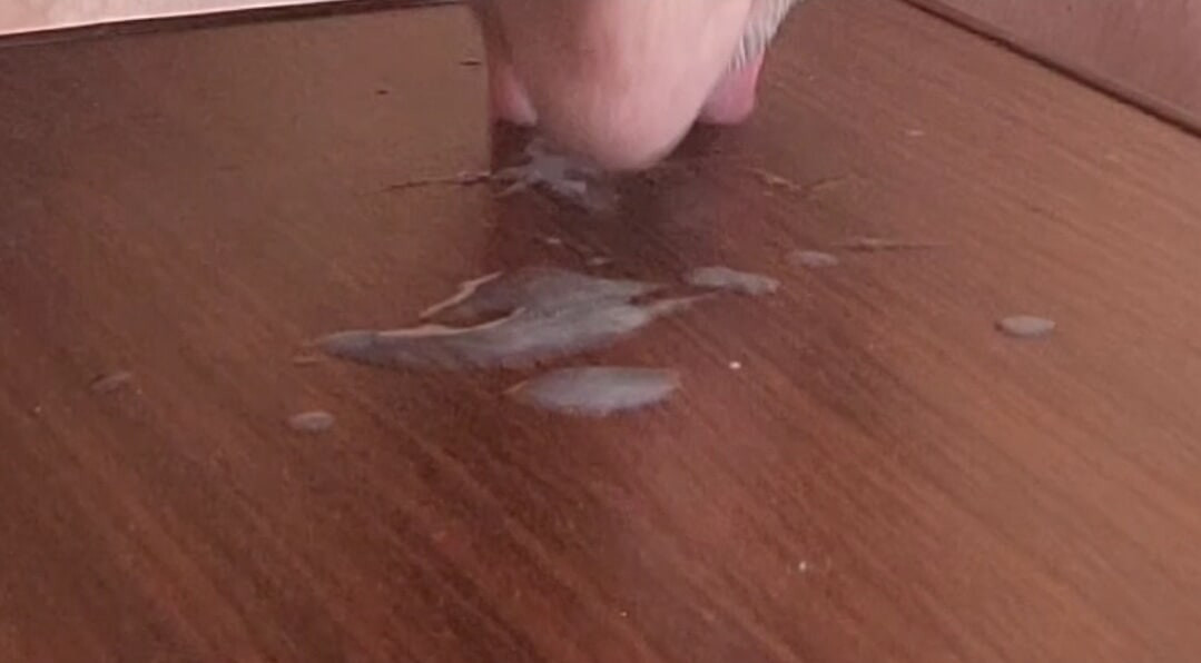 Cumming and eating my own cum