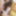 Shino Aoi :: The Prey waitress - CARIBBEANCOM #16